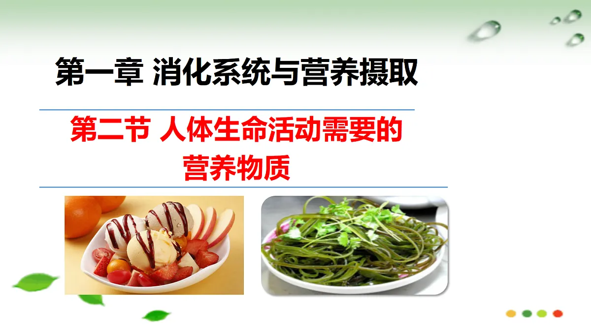17508750第1页