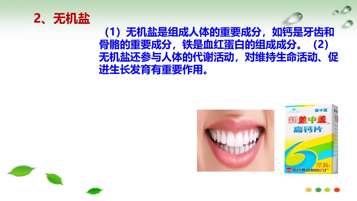 17508750第6页