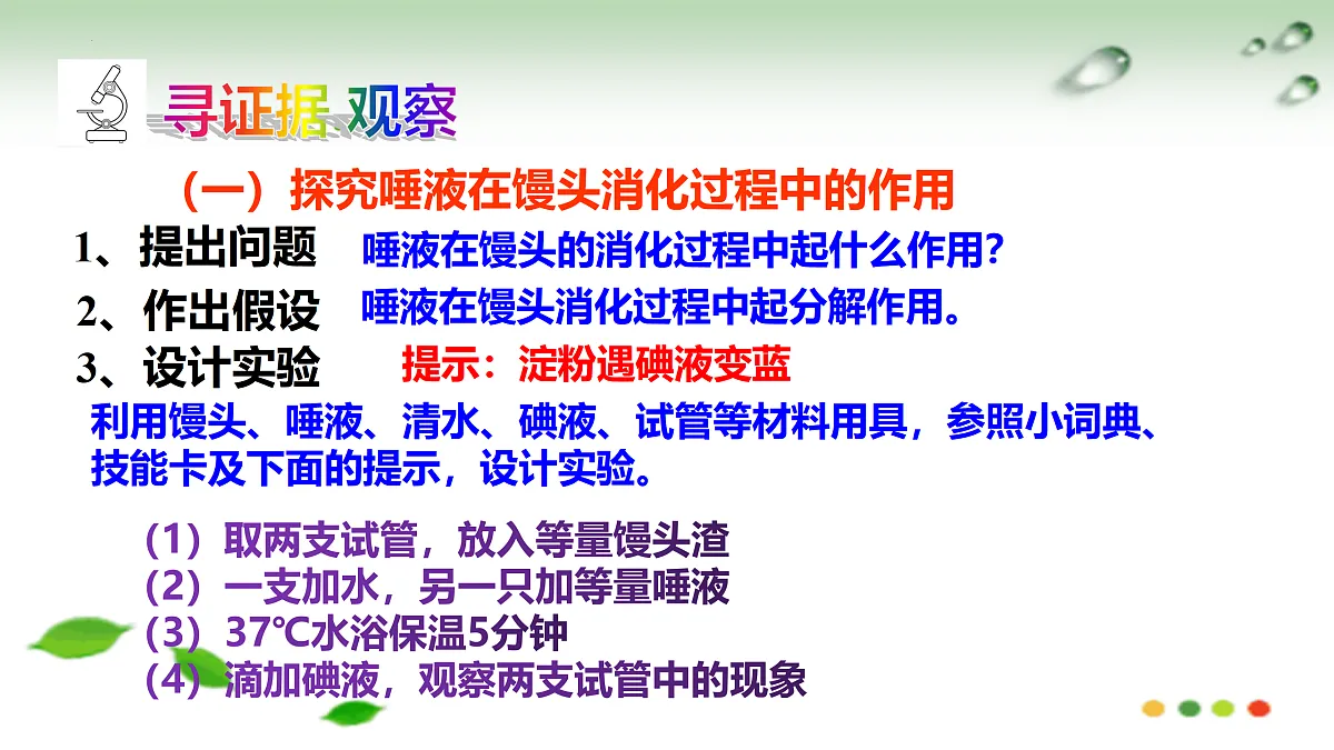 17508751第3页