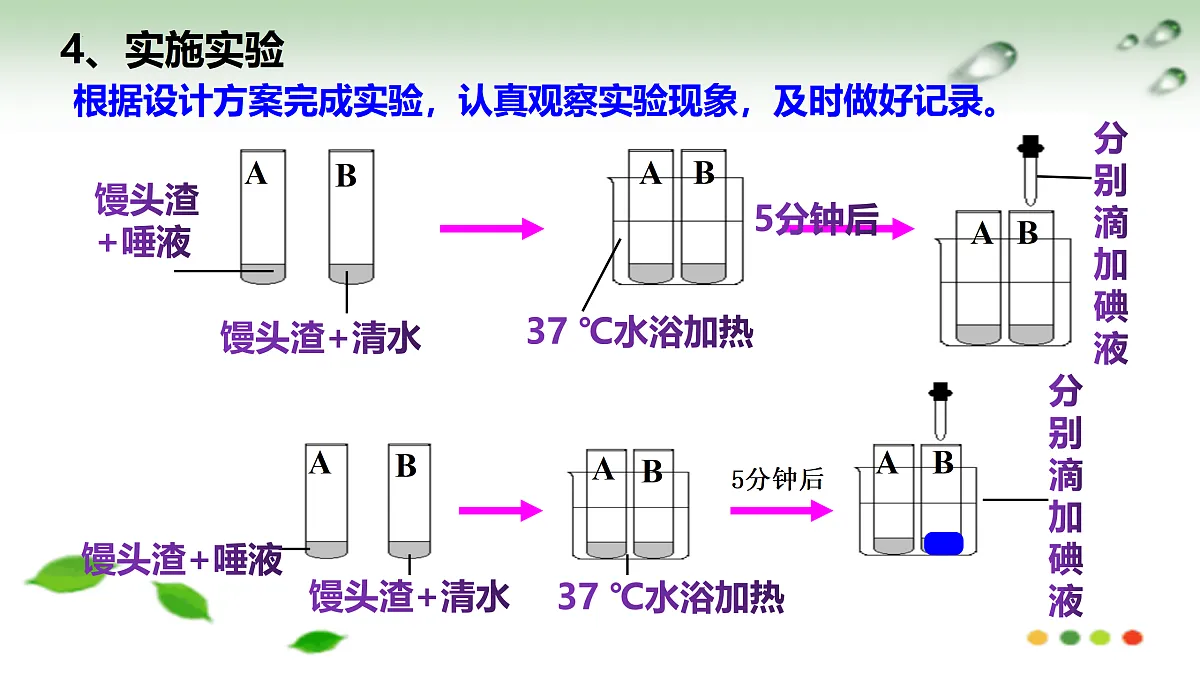 17508751第4页