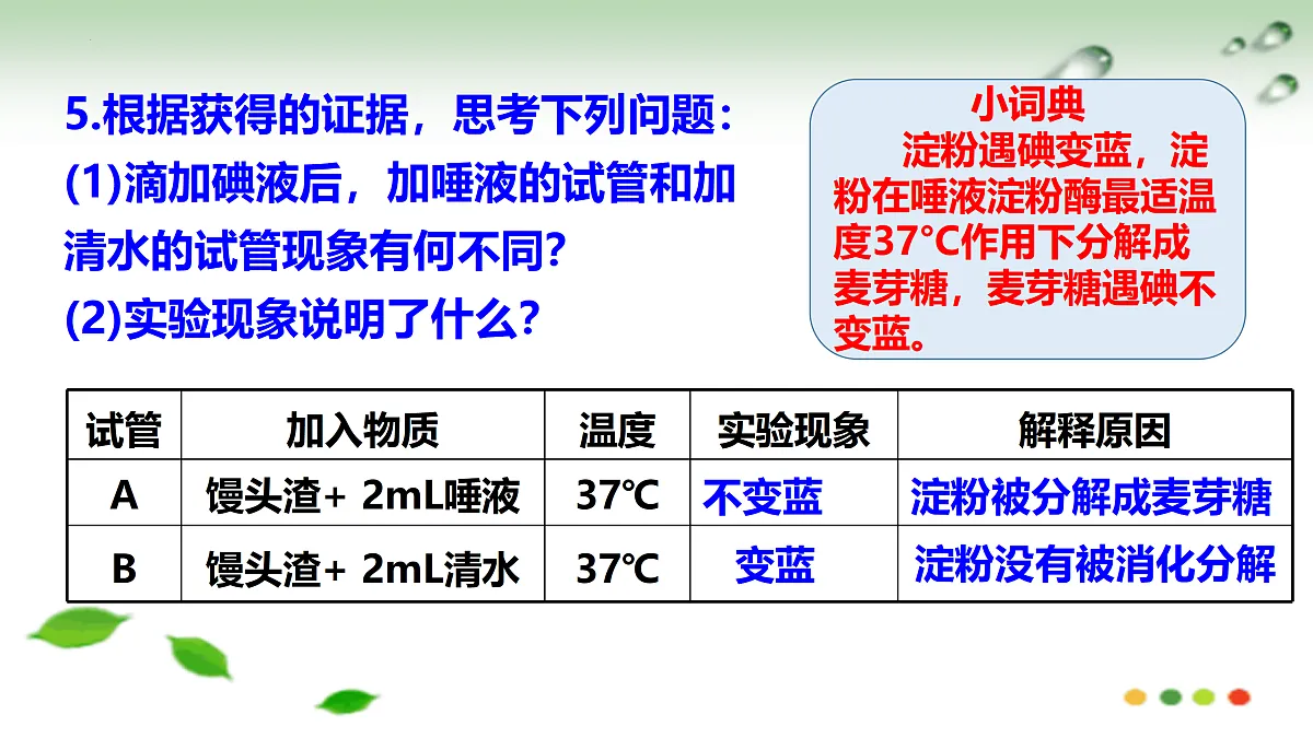 17508751第5页