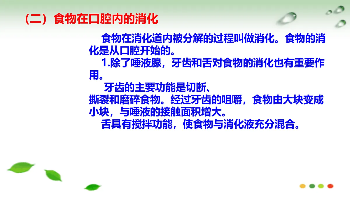 17508751第7页