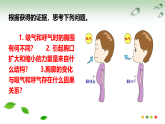 2026年春冀少版七年级生物下册 3.2.1 呼吸的过程（一、肺与外界的气体交换）(课件)