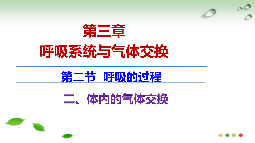17508760第1页