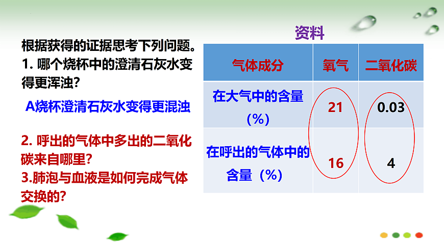 17508760第5页