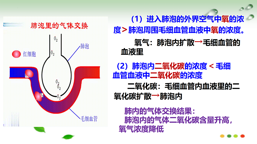 17508760第7页