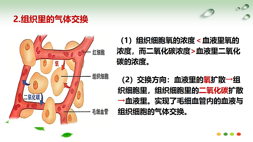 17508760第8页