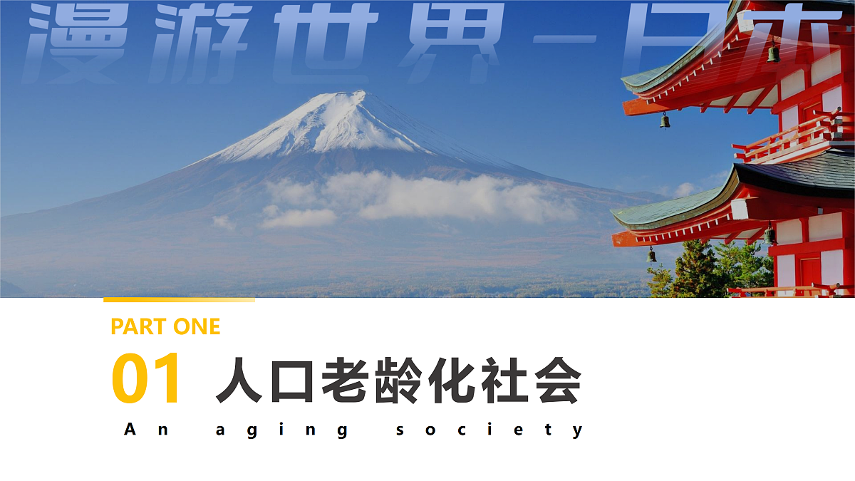 17508791第5页
