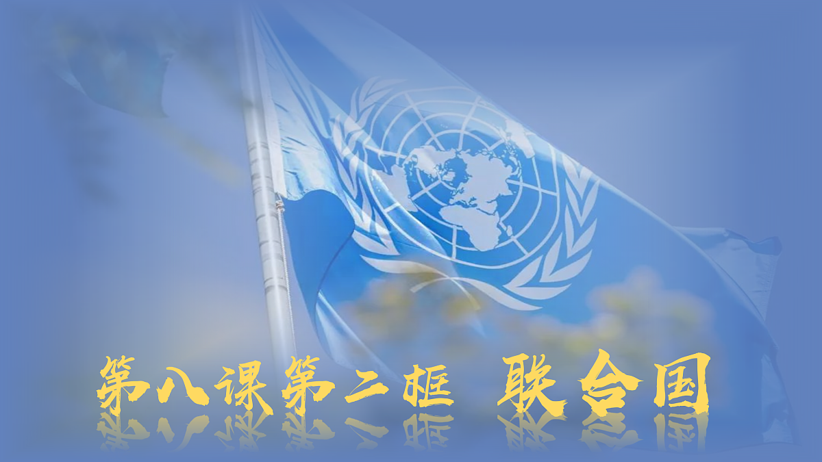 17509024第1页