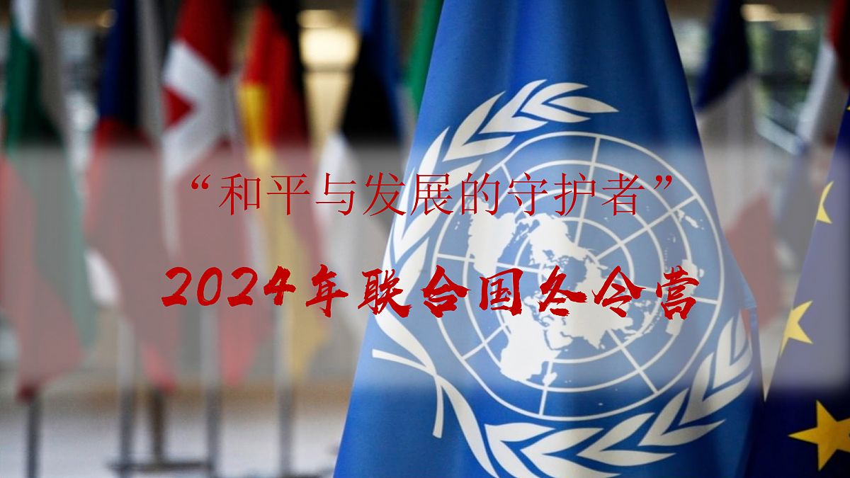 17509024第3页