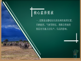 2026年春人教版七年级地理下册9.3.1 撒哈拉以南的非洲（课件）