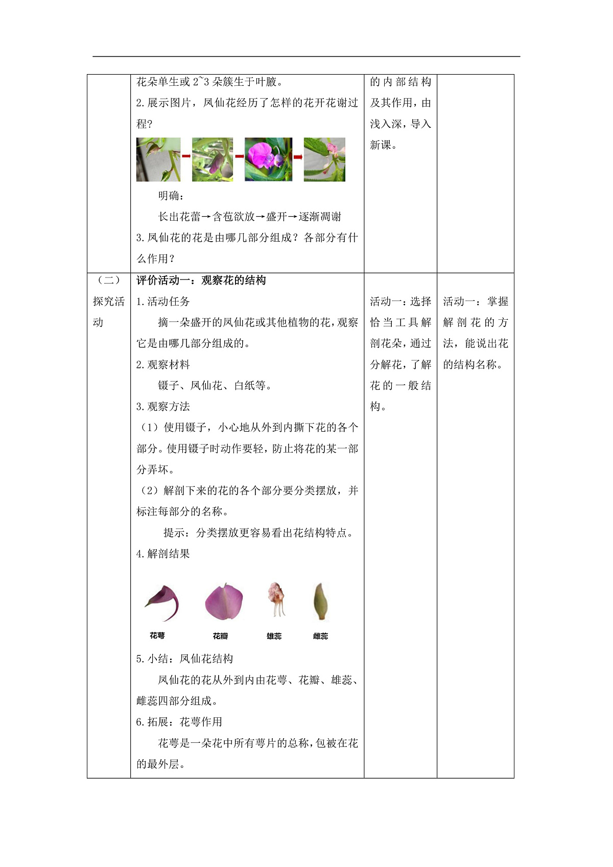 教科版（2017）科学四下1.5《凤仙花开花了》课时教案第2页
