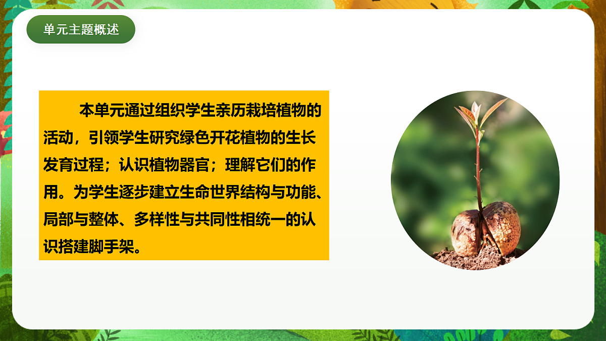 教科版（2017）科学四下1.5《凤仙花开花了》课时课件第2页