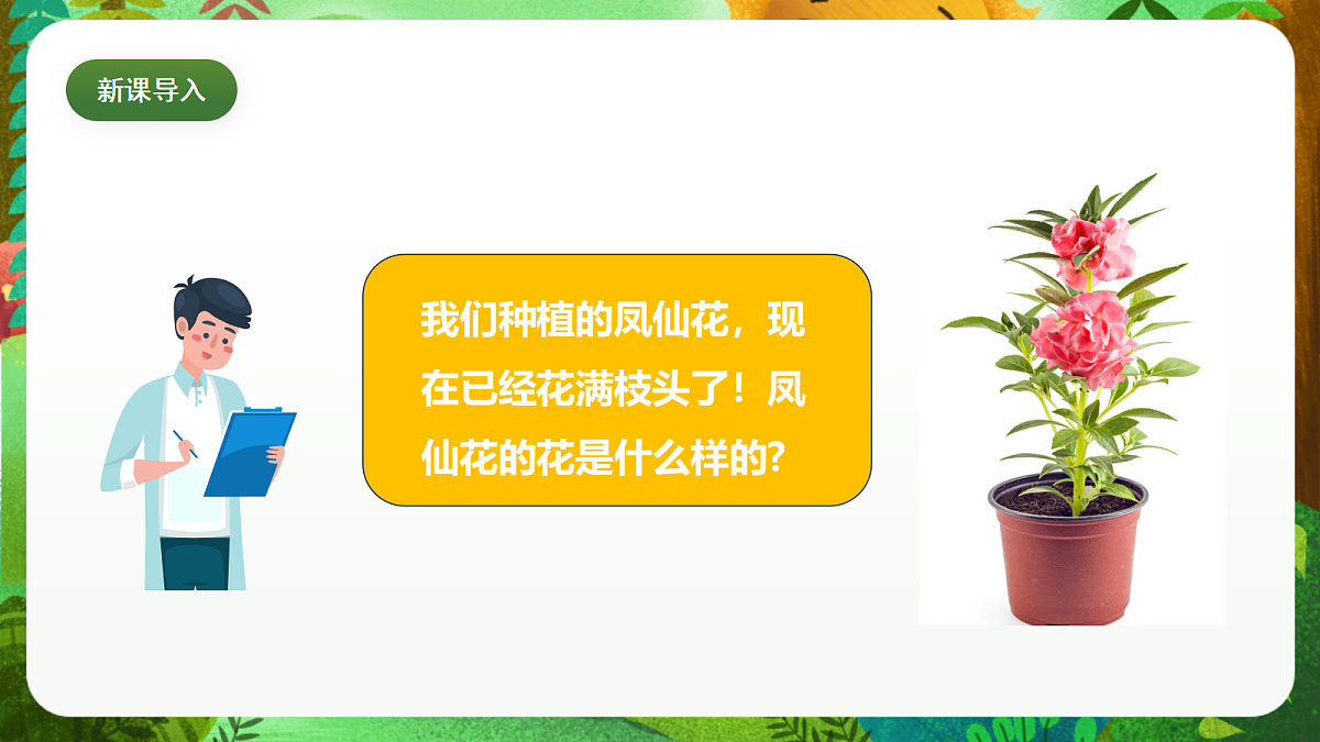教科版（2017）科学四下1.5《凤仙花开花了》课时课件第5页