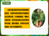 教科版（2017）科学四下1.7《种子的传播》课件+教案