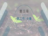 5.2.2土壤（精品课件）——高中地理人教版（2019）必修第一册