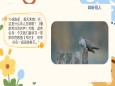 人音版小学音乐一年级下册第一单元《布谷》教案+课件+素材