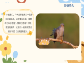 人音版小学音乐一年级下册第一单元《杜鹃圆舞曲》教案+课件+素材