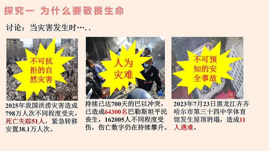 17512370第5页