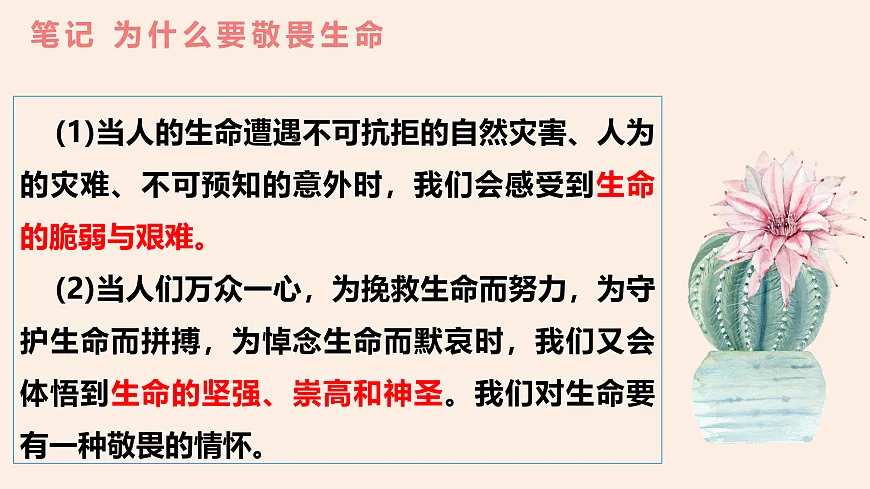 17512370第8页