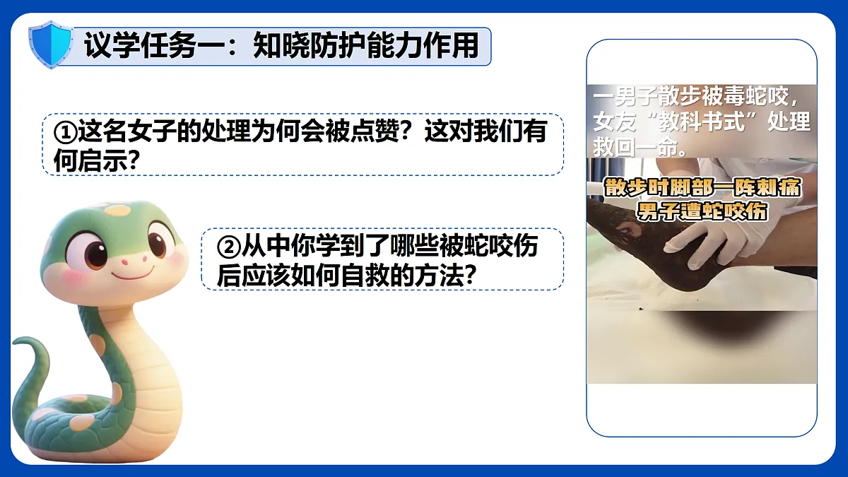 17512382第7页