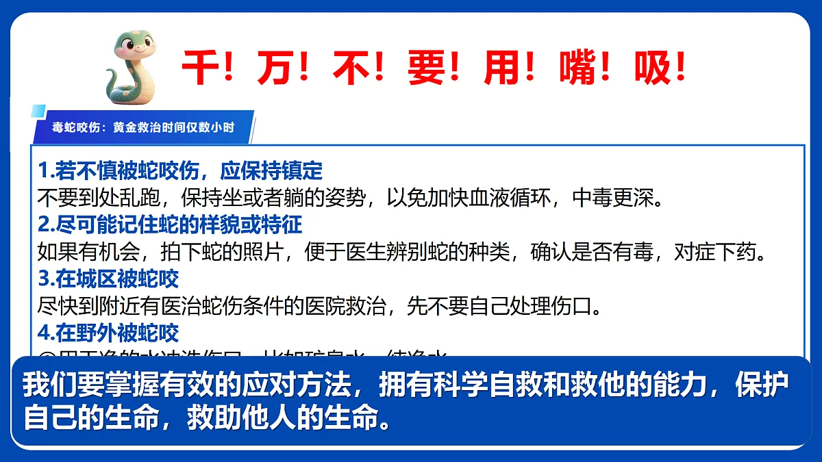 17512382第8页