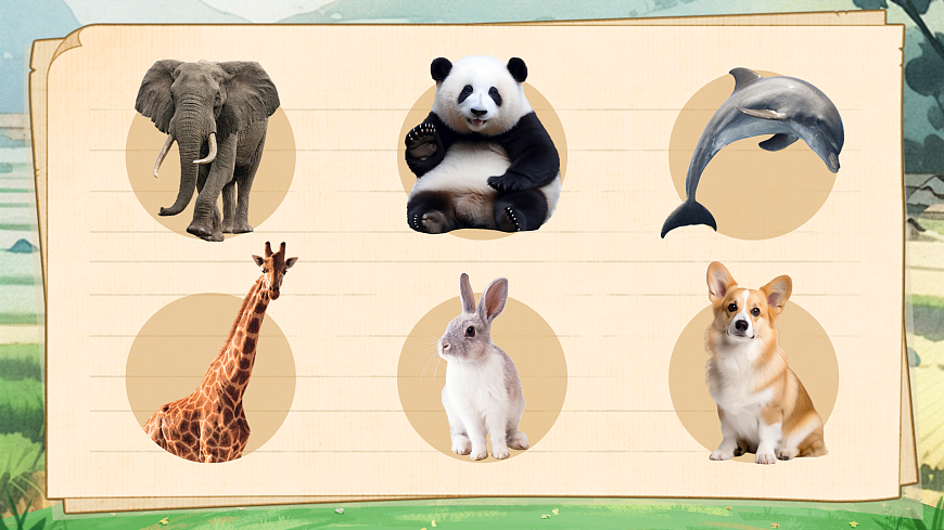 《口语交际：有趣的动物》第2页