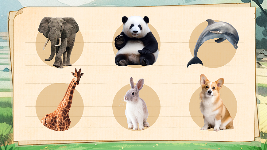 《小蝌蚪找妈妈》教学课件第2页