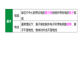 教科版物理九年级上册专用复习-19--电荷 电路（复习课件+练习题课件+解析答案）