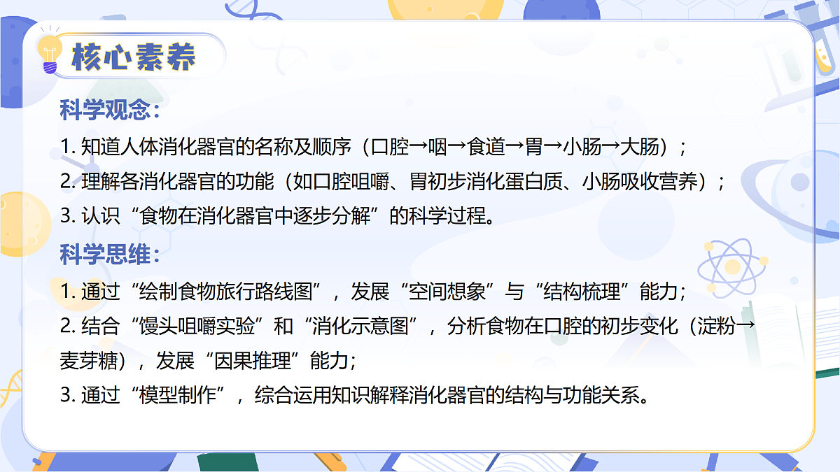 17513375第3页