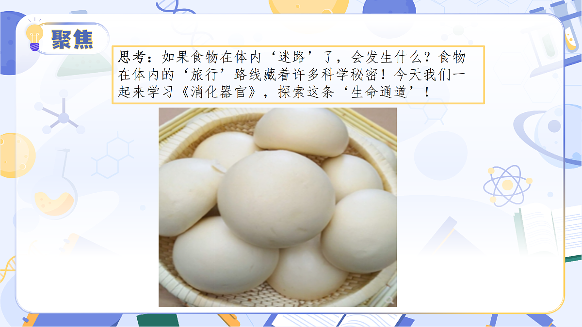 17513375第7页