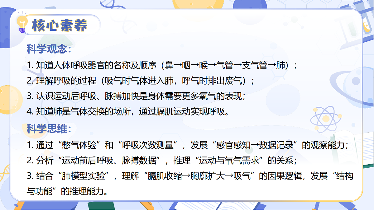 17513376第3页