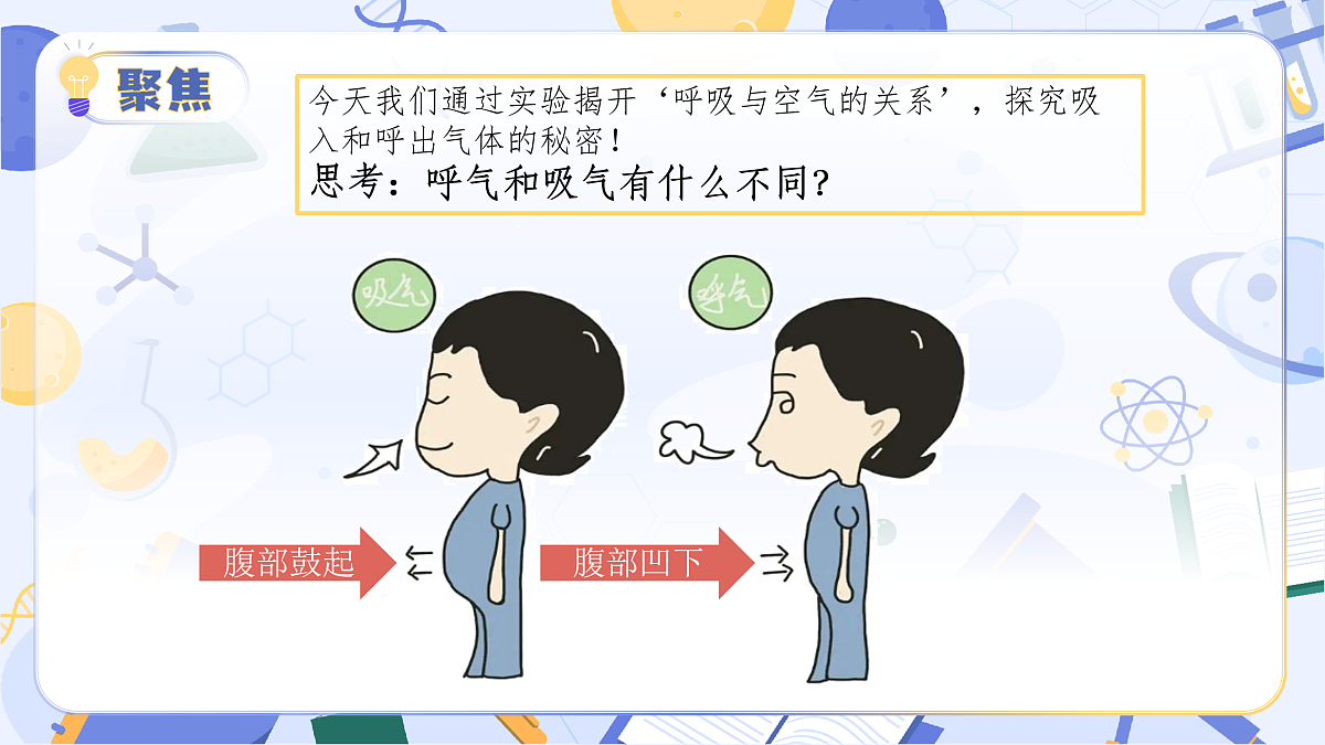 17513377第7页
