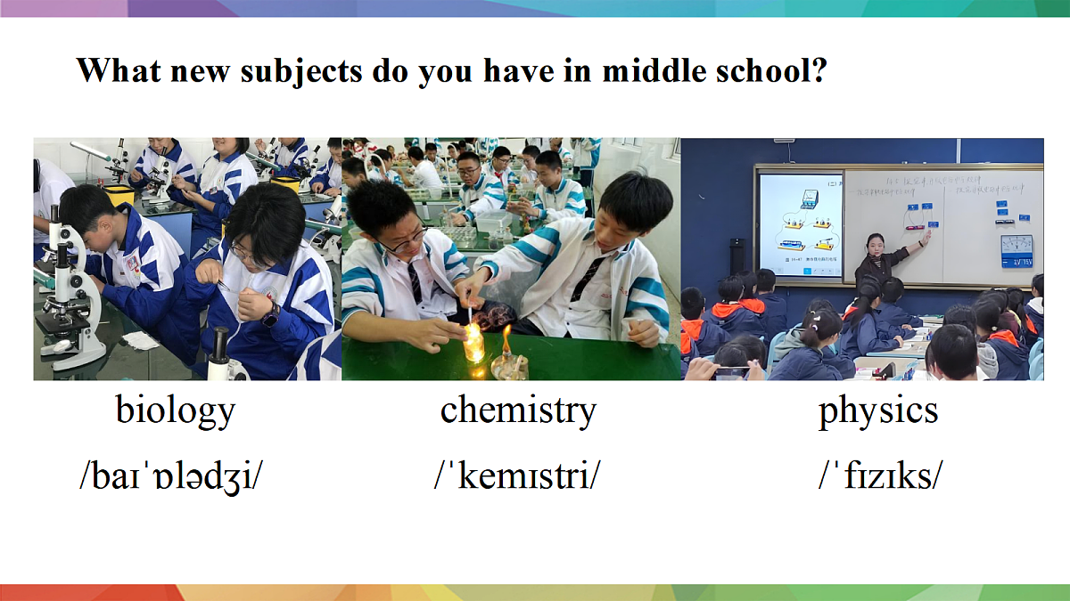 17513383第5页