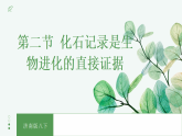 【核心素养目标】济南版初中生物八年级下7.1.2《化石记录是生物进化的直接证据》课件