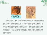 【核心素养目标】济南版初中生物八年级下7.1.2《化石记录是生物进化的直接证据》课件