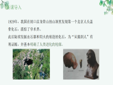【核心素养目标】济南版初中生物八年级下7.2.2《早期人类逐渐演化成现代人》课件