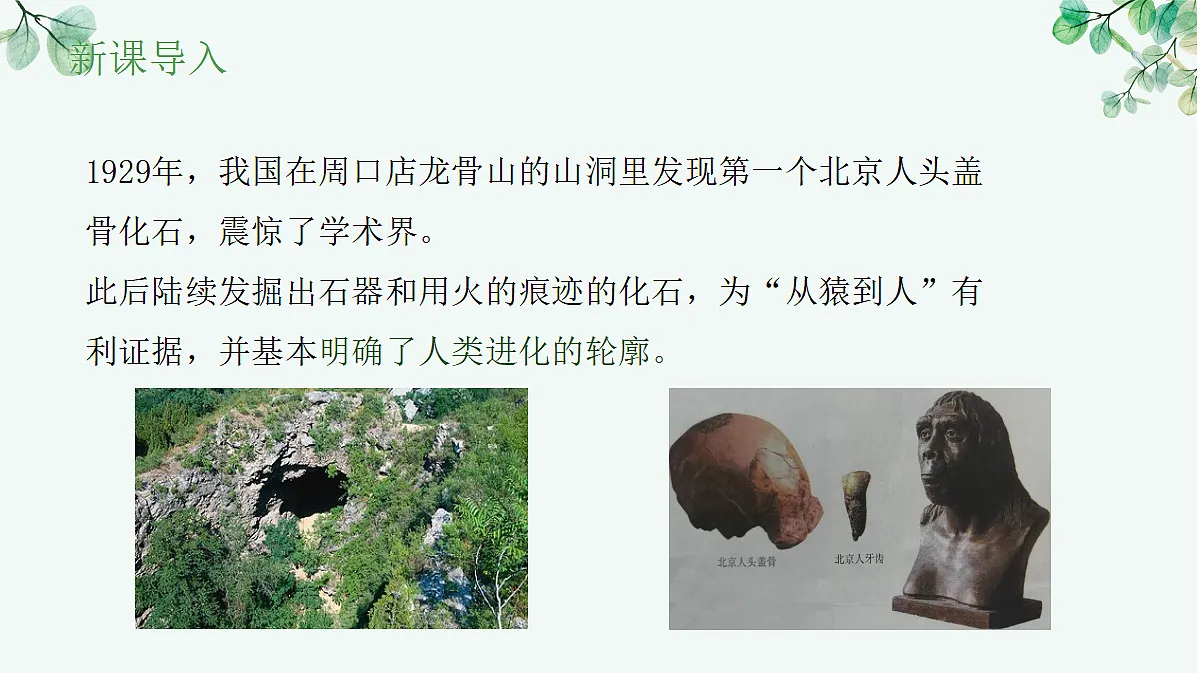 17515835第2页
