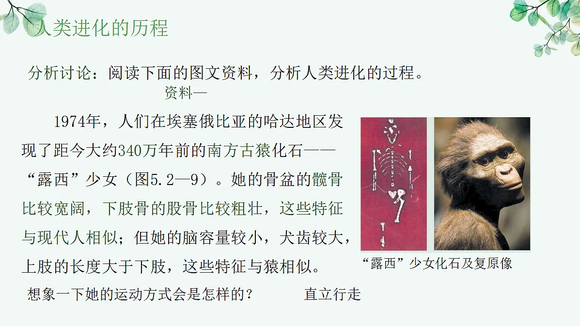 17515835第5页