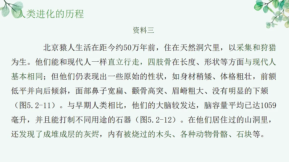 17515835第7页