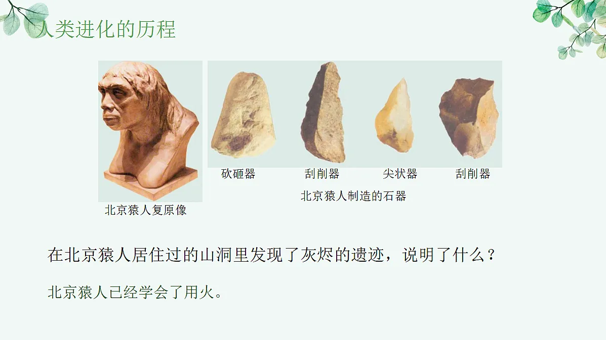 17515835第8页