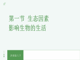 【核心素养目标】济南版初中生物八年级下8.1.1《生态因素影响生物的生活》课件