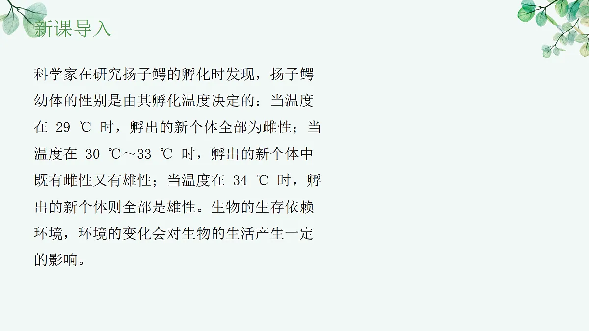17515836第2页