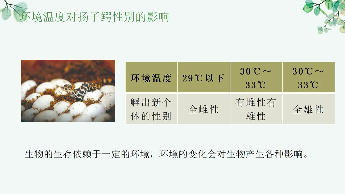17515836第5页