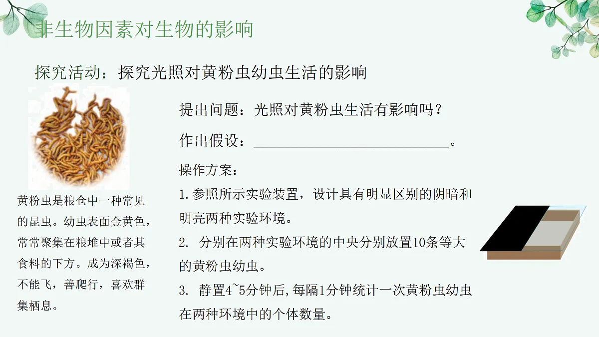 17515836第8页