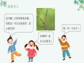 【核心素养目标】济南版初中生物八年级下8.1.2《生物能够适应和影响环境》课件