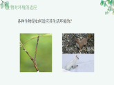 【核心素养目标】济南版初中生物八年级下8.1.2《生物能够适应和影响环境》课件