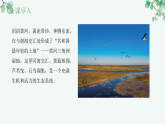 【核心素养目标】济南版初中生物八年级下8.2.1《生态系统具有一定的结构》课件