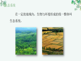 【核心素养目标】济南版初中生物八年级下8.2.1《生态系统具有一定的结构》课件
