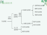 【核心素养目标】济南版初中生物八年级下8.2.4《生态系统有多种类型》课件